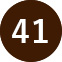 41